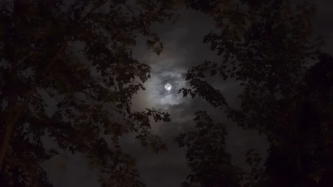 Time Lapse of clouds passing by the moon on a dark and stormy night. Vídeo Stock 92589441