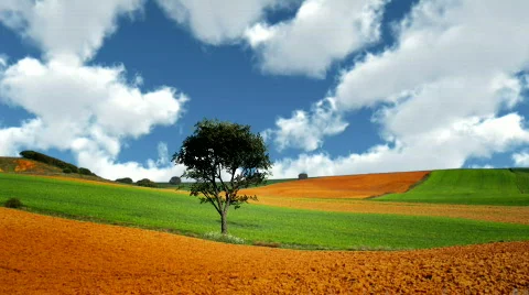 Time lapse of clouds passing  over field Stock Footage 557062