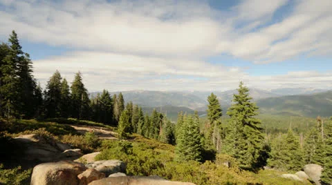 Time Lapse of Clouds Passing over Forest - 4K Stock Footage 25638345