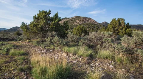 A Time-Lapse Of Clouds Passing Over Mountainous Desert Shrubbery. Stock Footage 51754561