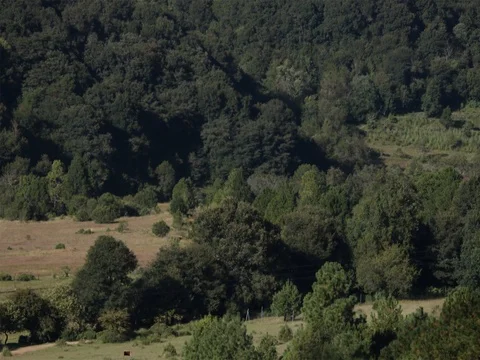 Time lapse of clouds passing over Cruxtitla, Mexico 스톡 동영상 119406036