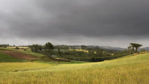 Time lapse of clouds passing over Ethiopian farm Stock Footage 142894323