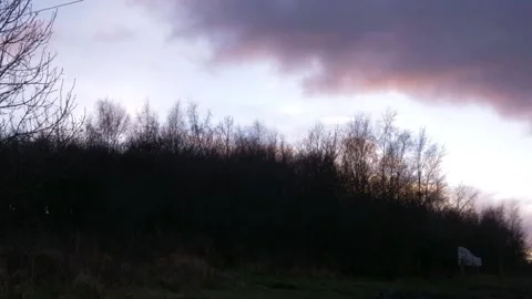 Time lapse of clouds passing over bare trees in woodland Stock Footage 147951944