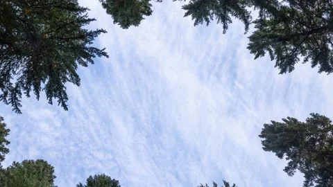Time lapse of clouds passing overhead 動画素材 196783503