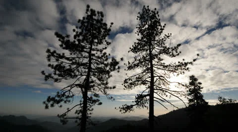 Time Lapse of Clouds passing through trees at sunset - 4K Stock Footage 25639939