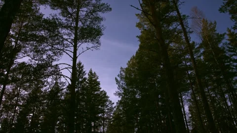Time lapse of clouds passing trough clouds Stock Footage 265282825
