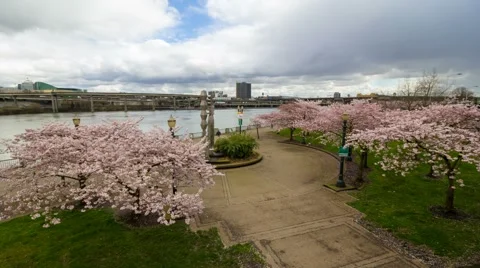 Time Lapse of clouds, people and freeway traffic downtown Portland OR in Spring Video stock 61119466