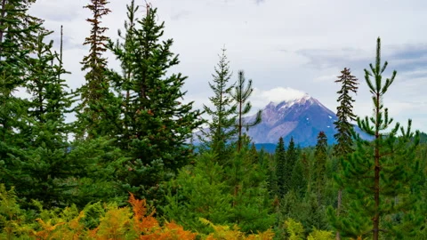 Time Lapse of clouds racing across Mt. Jefferson through trees, Oregon Cascades Stockbeeldmateriaal 329150292