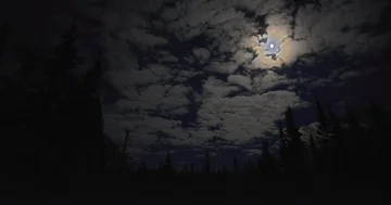 Time-lapse of clouds racing by the moon on a British Columbia night, Canada Stock Footage