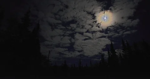 Time-lapse of clouds racing by the moon on a British Columbia night, Canada Stock Footage 86137754