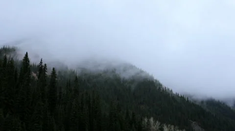 Time Lapse clouds rise from trees in the mountain Video stock 63552666