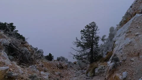 Time lapse: clouds rising over rocky slope with lone pine at Babadag - timelapse Stock Footage 344966302