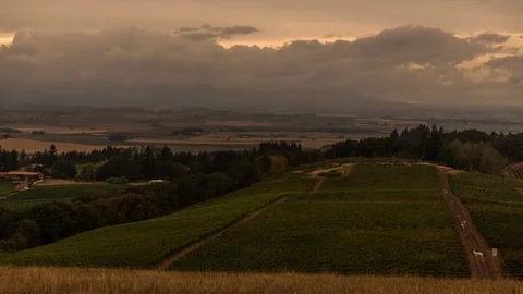 Time-lapse of clouds rolling over the vineyards at sunset Stock Footage 83864096