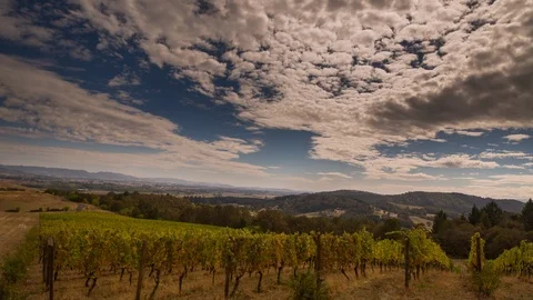 Time-lapse of clouds rolling over the vineyard Stock Footage 87810313