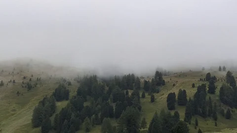 Time lapse of clouds rolling over fir trees and green hills, Italian Dolomites. Stock-Footage 115543772
