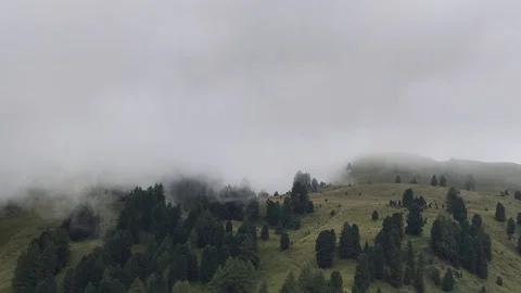 Time lapse of clouds rolling over fir trees and green hills, Italian Dolomites. Stock Footage 115543881