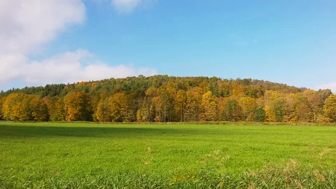 Time Lapse Clouds Rush over Autumn Foliage Trees Vídeo Stock 96263243