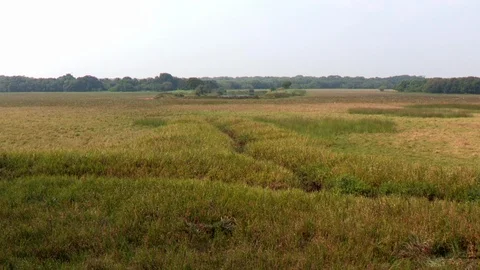 Time Lapse of Clouds Shadow Over Grassland in Forest Video stock 86802114