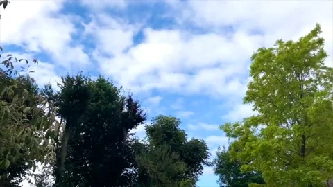 Time lapse of clouds in sky with trees and clouds moving across the sky Video stock 138160974
