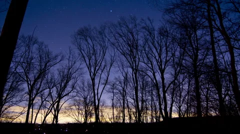 Time Lapse of Clouds, Stars and Trees 動画素材 59065558