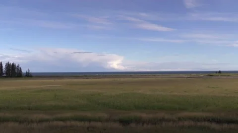 Time lapse clouds tall grass Stock Footage 55658264