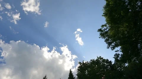 Time-Lapse Clouds with trees 4k trees 10s Video stock 249349824