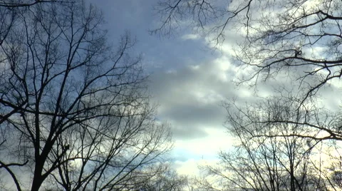 Time Lapse Clouds with Trees Stock-Footage 53007832