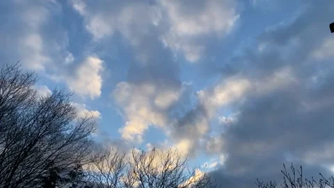Time Lapse of clouds with trees Video stock 150154561