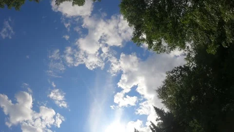 Time-Lapse Clouds with Trees HD 1080 49s Video stock 249351635