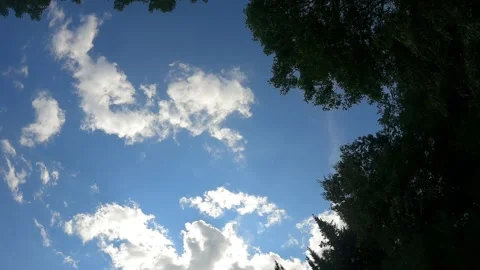Time-Lapse Clouds with Trees HD 1080 Part 2 59s Video stock 249351637