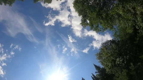 Time-Lapse Clouds with Trees HD 1080 Part 1  59s Video stock 249351639