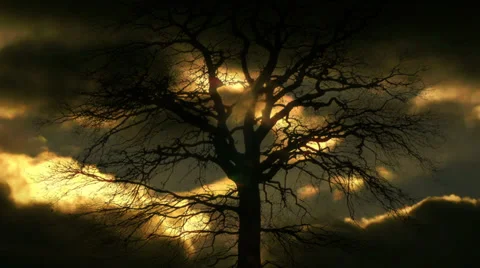 Time lapse clouds. trees silhouette background. beaming light. nature. fantasy Stock Footage 39818678