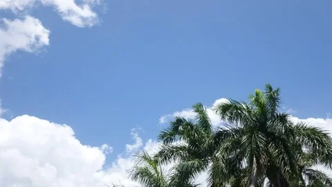 Time Lapse of Clouds Turning to Stormy Sky Видео 77081716