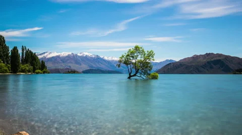 Time Lapse - Cloudscape Moving Over with Lake Wanaka Willow Tree in New Zealand Stock Footage 58629776