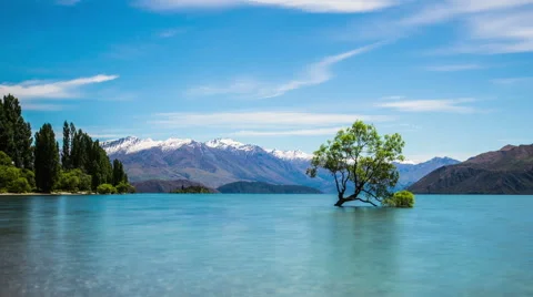 Time Lapse - Cloudscape Moving Over with Lake Wanaka Willow Tree in New Zealand Stock Footage 65224866