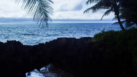 Time Lapse - Cloudscape Moving Over Ocean with Palm Trees Stock Footage 74949537