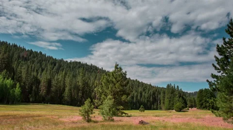 Time Lapse - Cloudscape over Meadow in the Sequoia National Park Stock Footage 52491924