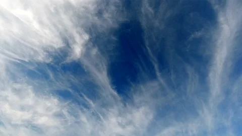 Time lapse cloudy blue sky flowing in below ant eye view Stock Footage 179520735