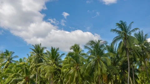 Time-lapse: The cloudy moving on the blue sky background Stock Footage 112729219