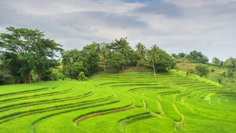 Time lapse cloudy over the terraced rice fields in the morning Stock Footage 230156554