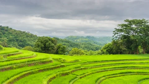 Time lapse cloudy over the terraced rice fields in the morning Stock Footage 230159161