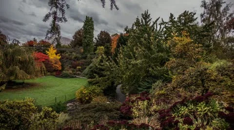 Time Lapse Cloudy Sky at Queen Elizabeth Park, Vancouver Stock Footage