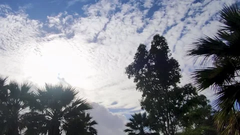 Time lapse of cloudy sky with trees in Calabria, Southern Italy Stock Footage 254021370