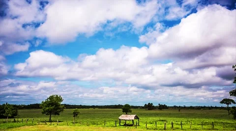 Time lapse of cloudy sky in tropical climate Stock Footage 59105723