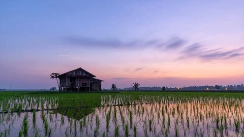 Time lapse of cloudy sunrise over abandoned house at organic paddy fields Stock Footage 86199100
