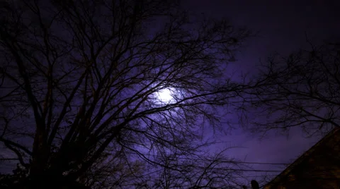 Time Lapse -  Cloudy Tree Night Stock Footage 39551403