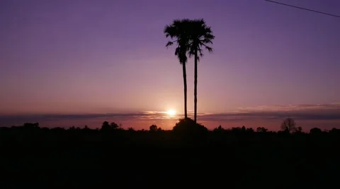 Time Lapse: Coconut trees at sunset 스톡 동영상 56280252
