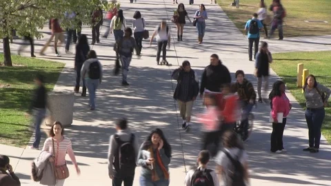 Time lapse of college students walking to class Video stock 87297176