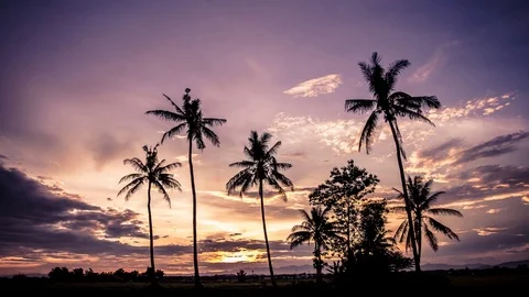 Time Lapse of Colorful dramatic sky with cloud at sunset.Sky with sun background Stock Footage 76507179