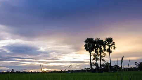 Time Lapse of Colorful dramatic sky with cloud at sunset.Sky with sun background Stock Footage 95538467